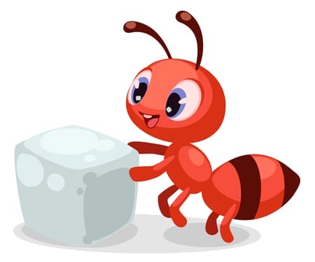 ant with sugar cube
