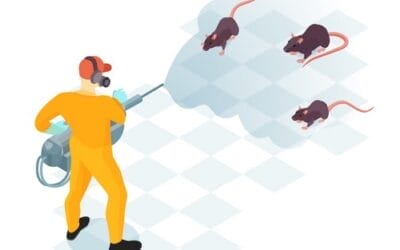 Mice Pest Control Costs & Pricing Guide